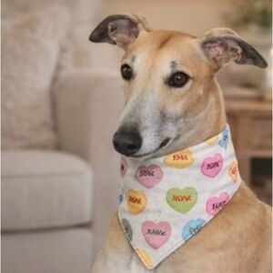 Handmade Sweetheart Dog Bandana - Red and Multicolor